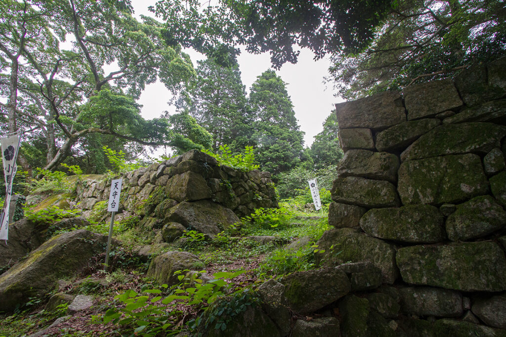 小里城址